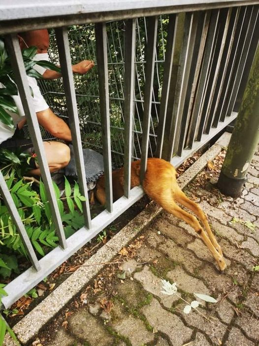 Symbolbild